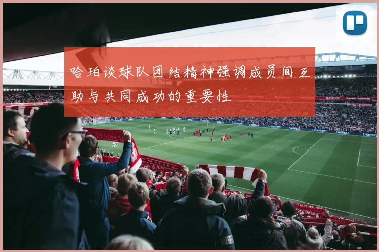 哈珀谈球队团结精神强调成员间互助与共同成功的重要性