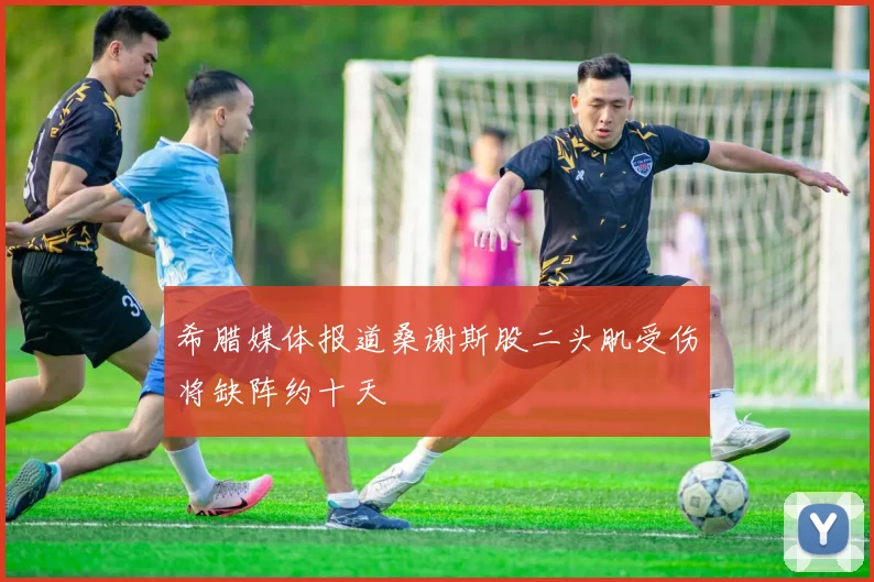 希腊媒体报道桑谢斯股二头肌受伤将缺阵约十天