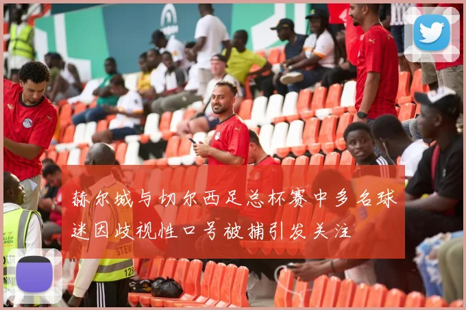 赫尔城与切尔西足总杯赛中多名球迷因歧视性口号被捕引发关注